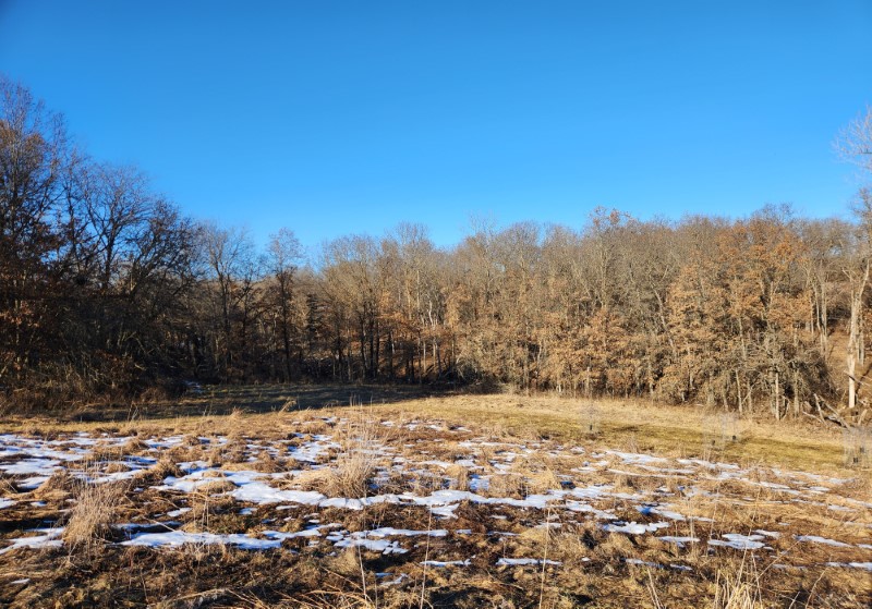 Decatur County, IA 152+/- primary image